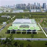 ��ƽ������԰